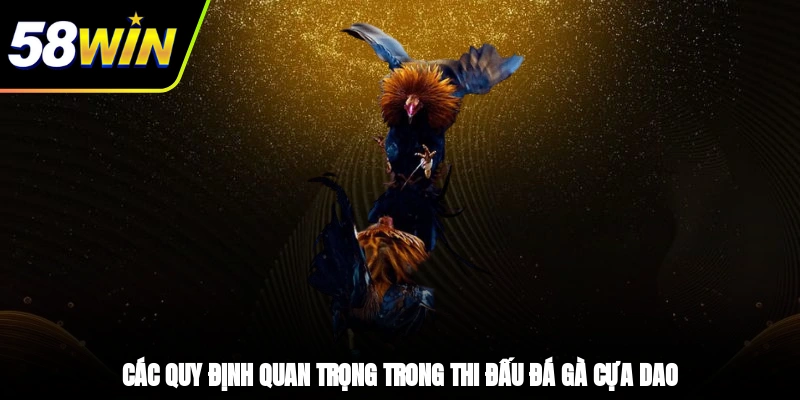 Các quy định quan trọng trong thi đấu đá gà cựa dao