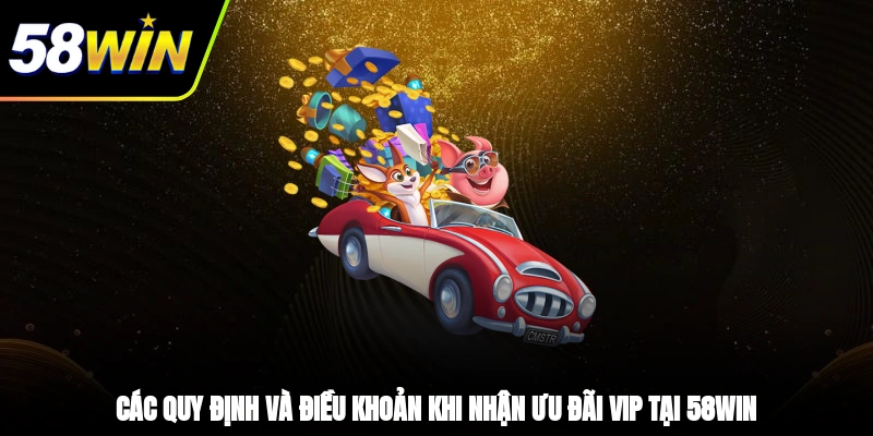 Các quy định và điều khoản khi nhận ưu đãi VIP tại 58WIN